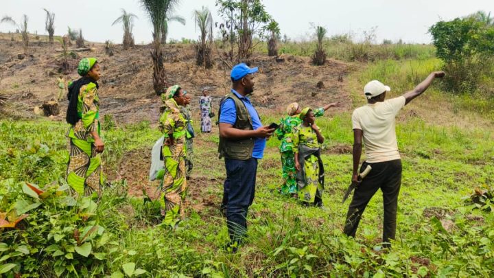 RDC : Génie Kande à Kananga, de l&rsquo;humanitaire à l&rsquo;agro-pastoral