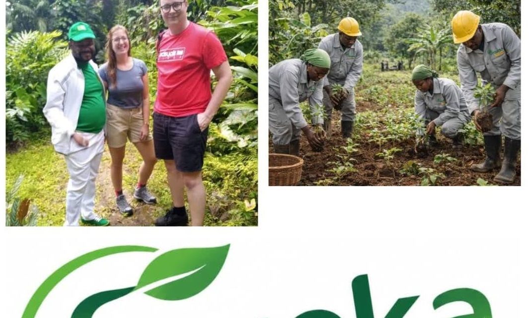 RDC -Environnement: fogeka Agency célèbre la Journée* *internationale de la santé des végétaux