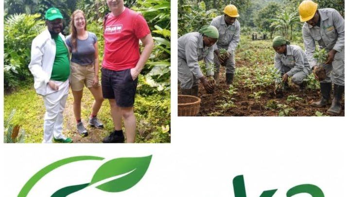 RDC -Environnement: fogeka Agency célèbre la Journée* *internationale de la santé des végétaux