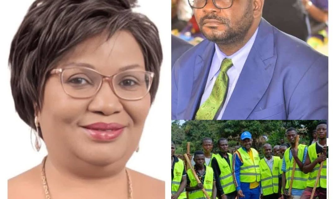 RDC-Environnement : le pays solution n’a plus besoin de nouvelles lois, mais de respect et de rigueur