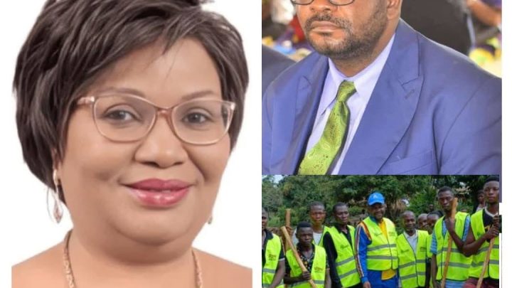 RDC-Environnement : le pays solution n’a plus besoin de nouvelles lois, mais de respect et de rigueur