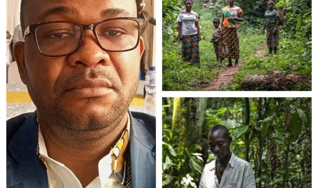 RDC : Le marché carbone en débat, entre opportunité climatique et défi de gouvernance