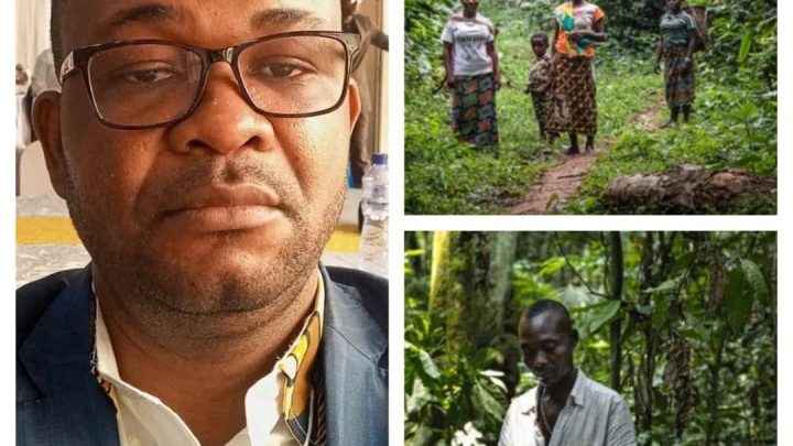 RDC : Le marché carbone en débat, entre opportunité climatique et défi de gouvernance