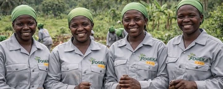 RDC-ENVIRONNEMENT : À quoi servent des contrats forestiers sans respect ni loi ?  