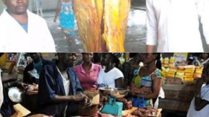 KINSHASA – SANTÉ PUBLIQUE ET SÉCURITÉ ALIMENTAIRE : L’ÉTAT DÉPLORABLE DES ABATTOIRS EXPOSE LA POPULATION À DE GRAVES RISQUES